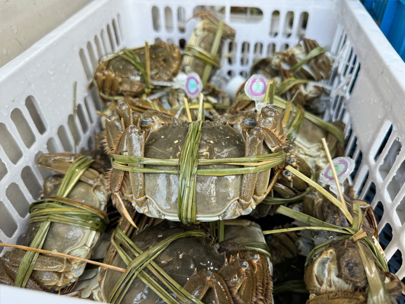 特色產(chǎn)品